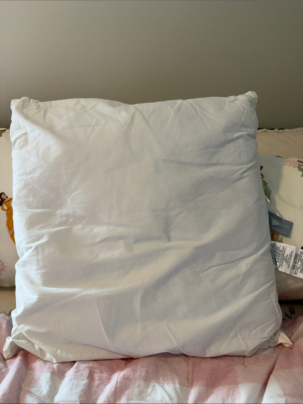 Lands' End Home Decorative Pillow Insert White 22"x 22"